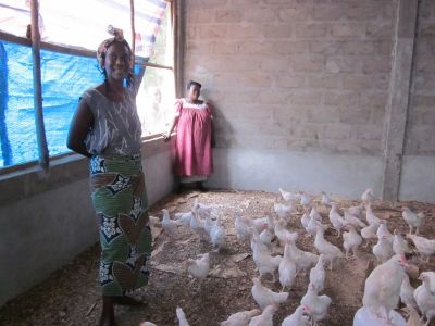 Aufbau einer Hühnerfarm an der Grundschule in Togokome